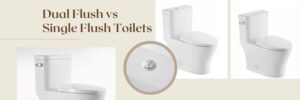 dual flush vs single flush toilet