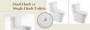 dual flush vs single flush toilet