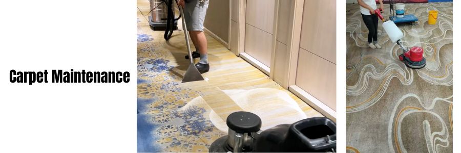 carpet maintenance