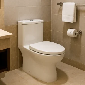 Dual flush one-piece toilet showcasing eco-efficiency