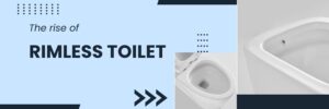 guide for rimless toilets