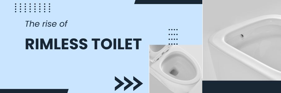 guide for rimless toilets guide for rimless toilets